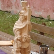 Devosochai a Vimperk 6