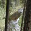 Bladice u Bla�ejovic