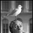 Dobr� den ... (Versailles)
