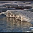 P�edja�� na Voly�ce v Bohumilic�ch