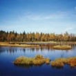 Chalupsk� sla�