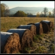 Podzimn� ...