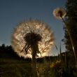 M�jov� podve�er ...
