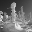 Okol� Hochsteinu